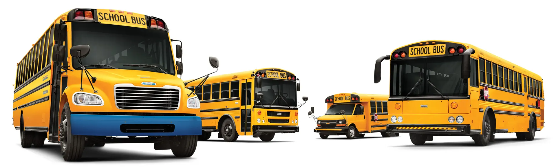 Display of Thomas buses on white background